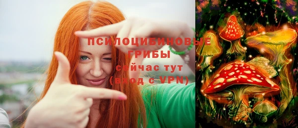 каннабис Арсеньев